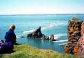 on top of end of cape split looking at pinacle and fingers with tide coming in