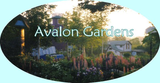Avalon Gardens - Barrel House, Green House, Studio Tower, & Spirit Home